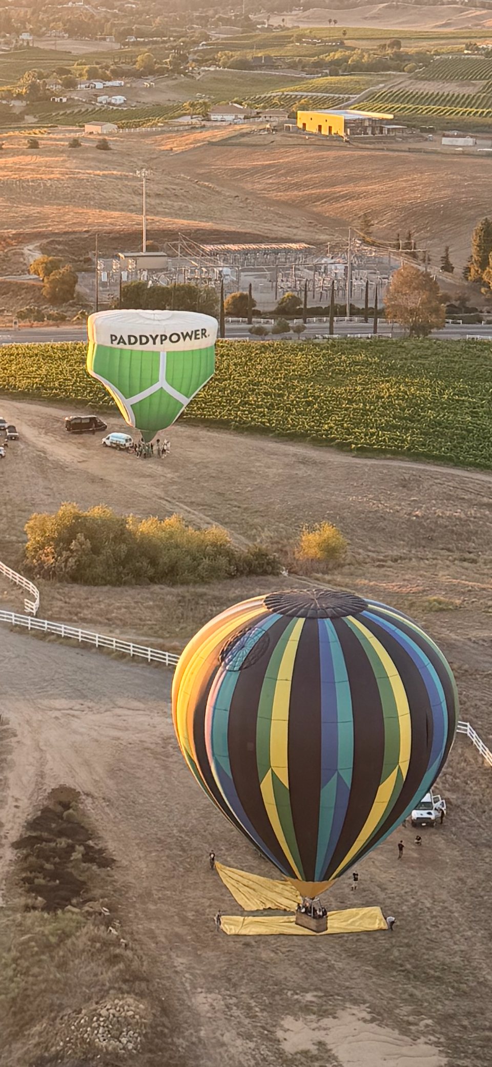 Hot air balloon rising over Temecula vineyards at first light