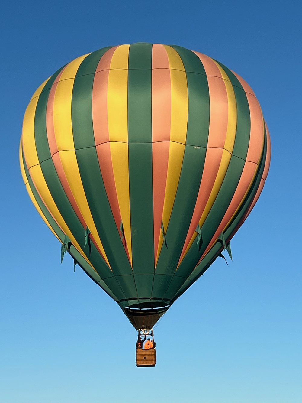 Balloon over landscape