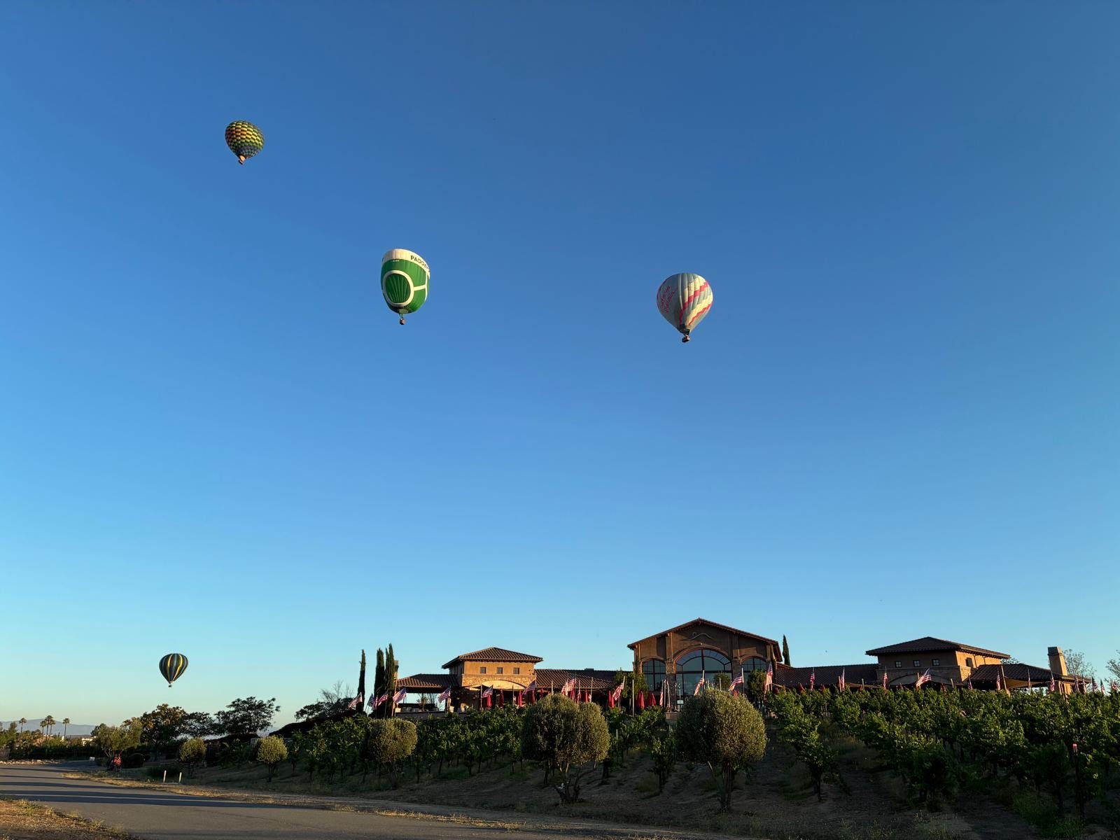 Hot air balloon over vineyards